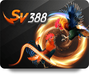 FB88 Cá Cược Pro: Những Lưu Ý Khi Chơi
